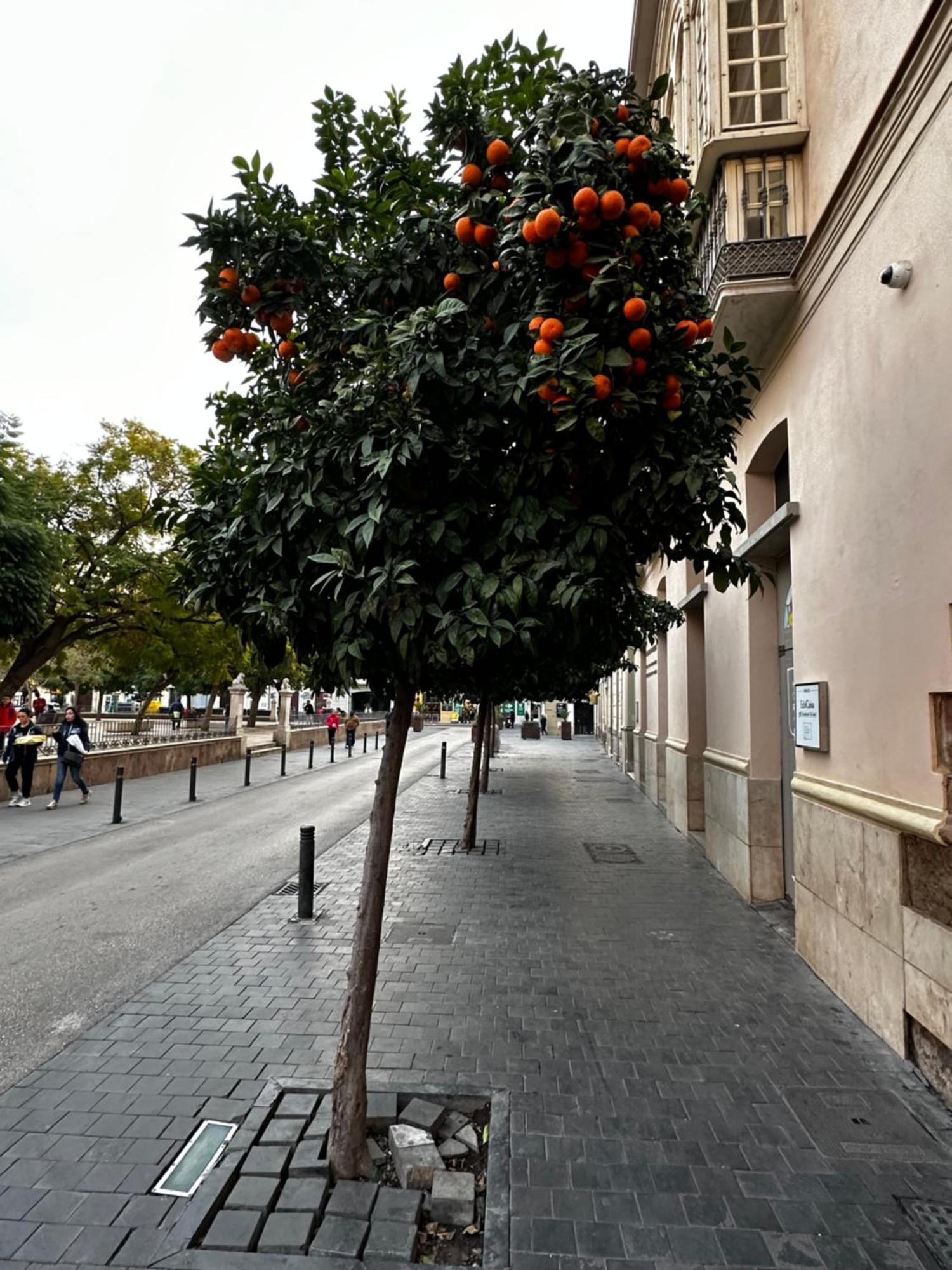Malaga'S Secret Málaga Exterior foto